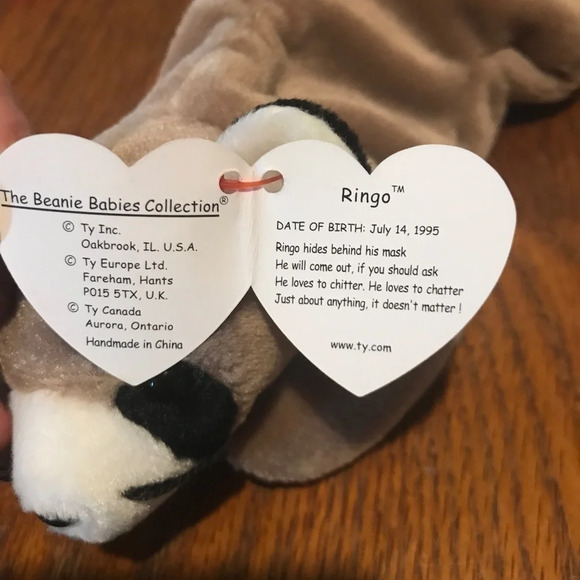 𝅺RINGO the Raccoon, Ty Beanie Baby.‎ Mint - Picture 5 of 7